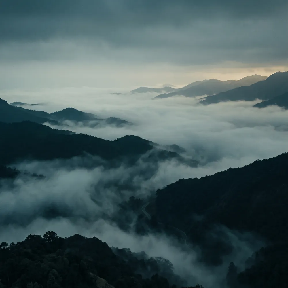 Coorg